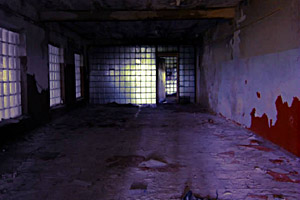 星空平台app官方下载国庆版