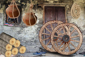 时代峰峻养的孩子从不缺教养