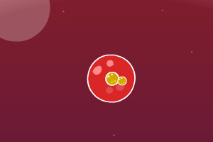 特拉维夫：民众抗议美以战争行为