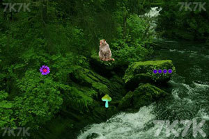 江苏南通：机器人成第二课堂“新宠”