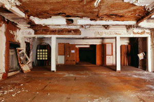 立足拟生态循环农法 探索中国特色农业新模式