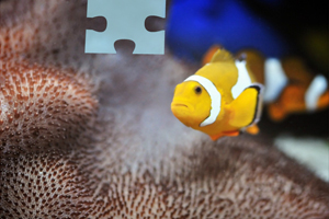 白宫：美国对伊朗的攻击已经耗资120亿美元